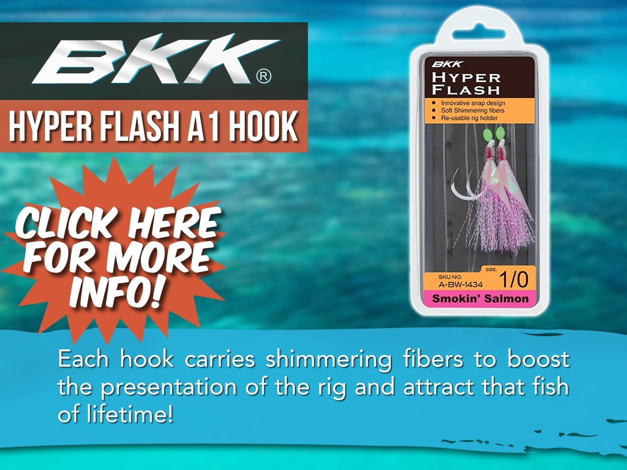 BKK HYPER FLASH A1 HOOK