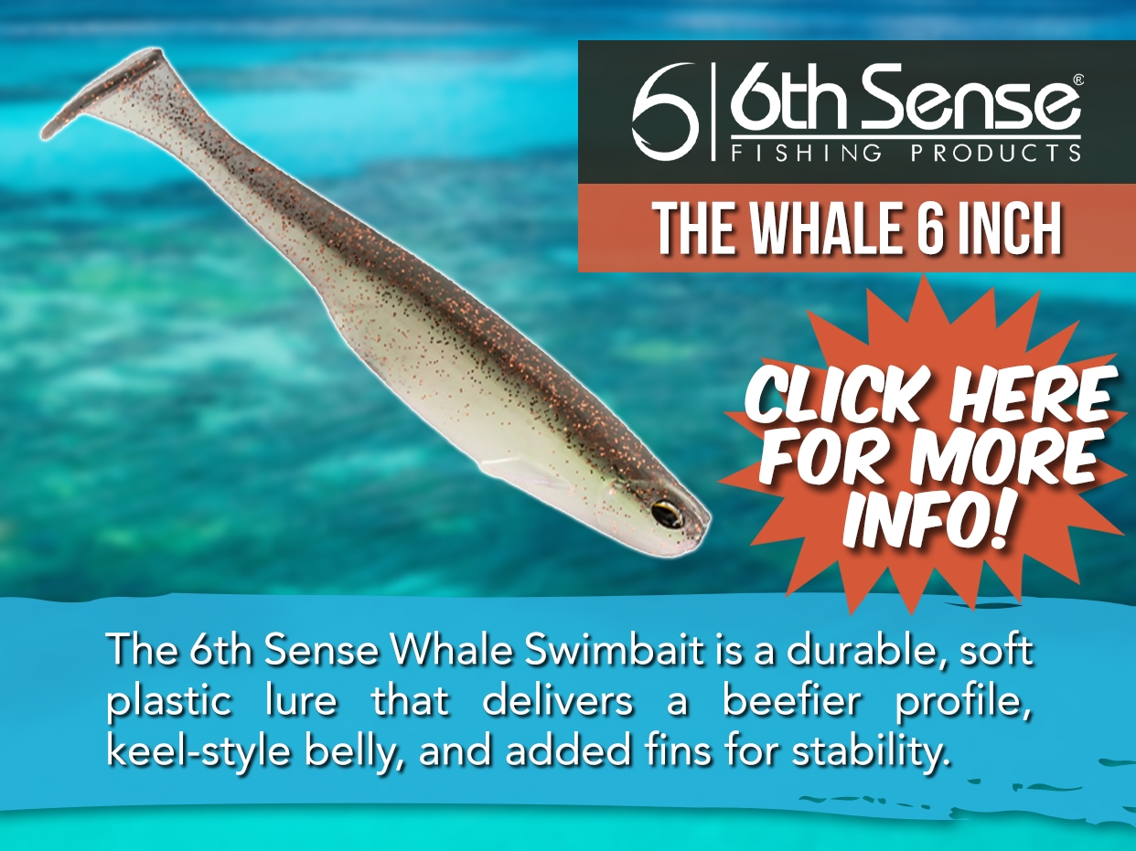 6TH SENSE WHALE SOFT PLASTIC LURE