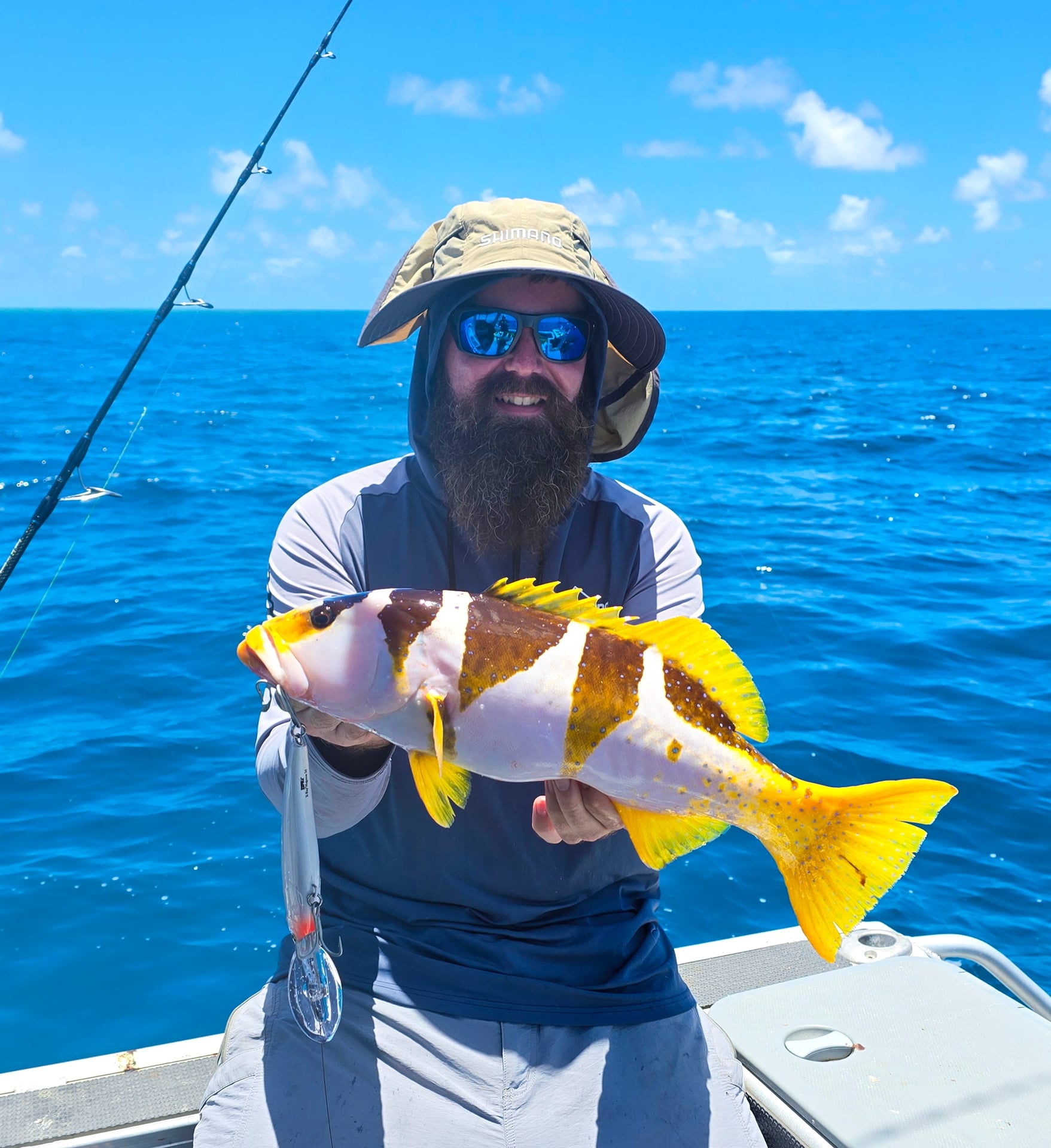 Drew's Footballer Coral Trout Drew's Footballer Coral Trout