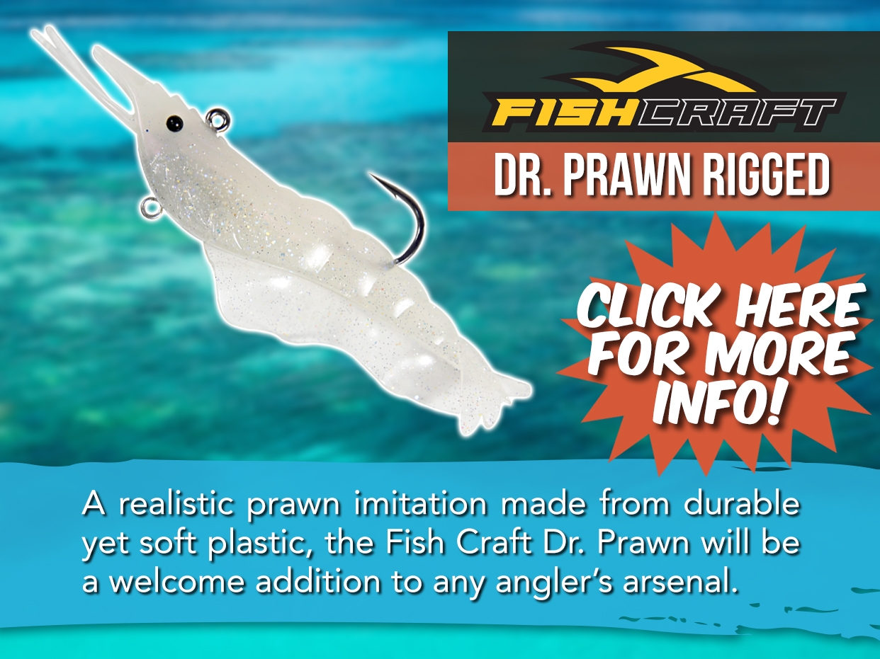 FISH CRAFT DR. PRAWN RIGGED LURE
