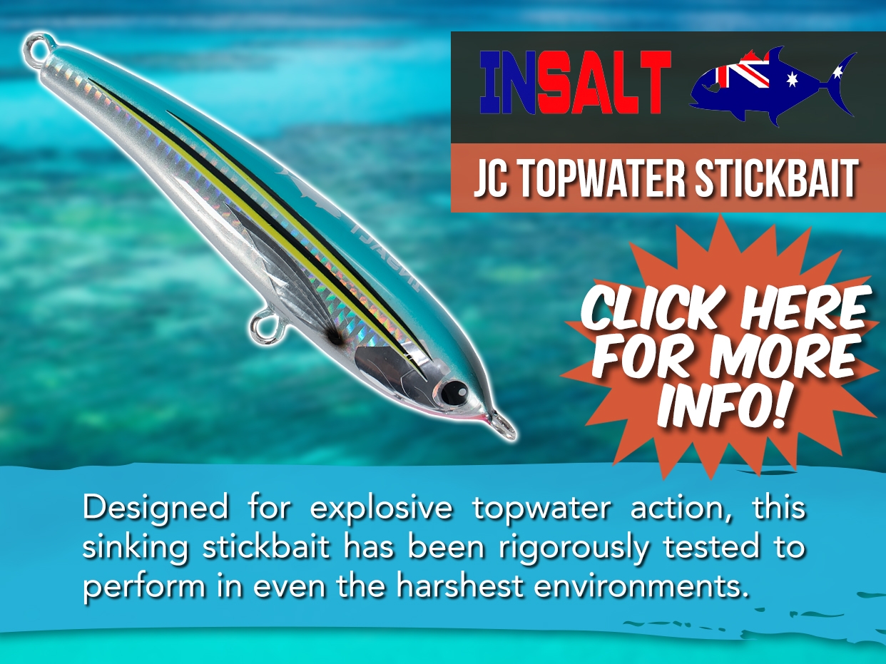 INSALT JCTOPWATER STICKBAIT LURE