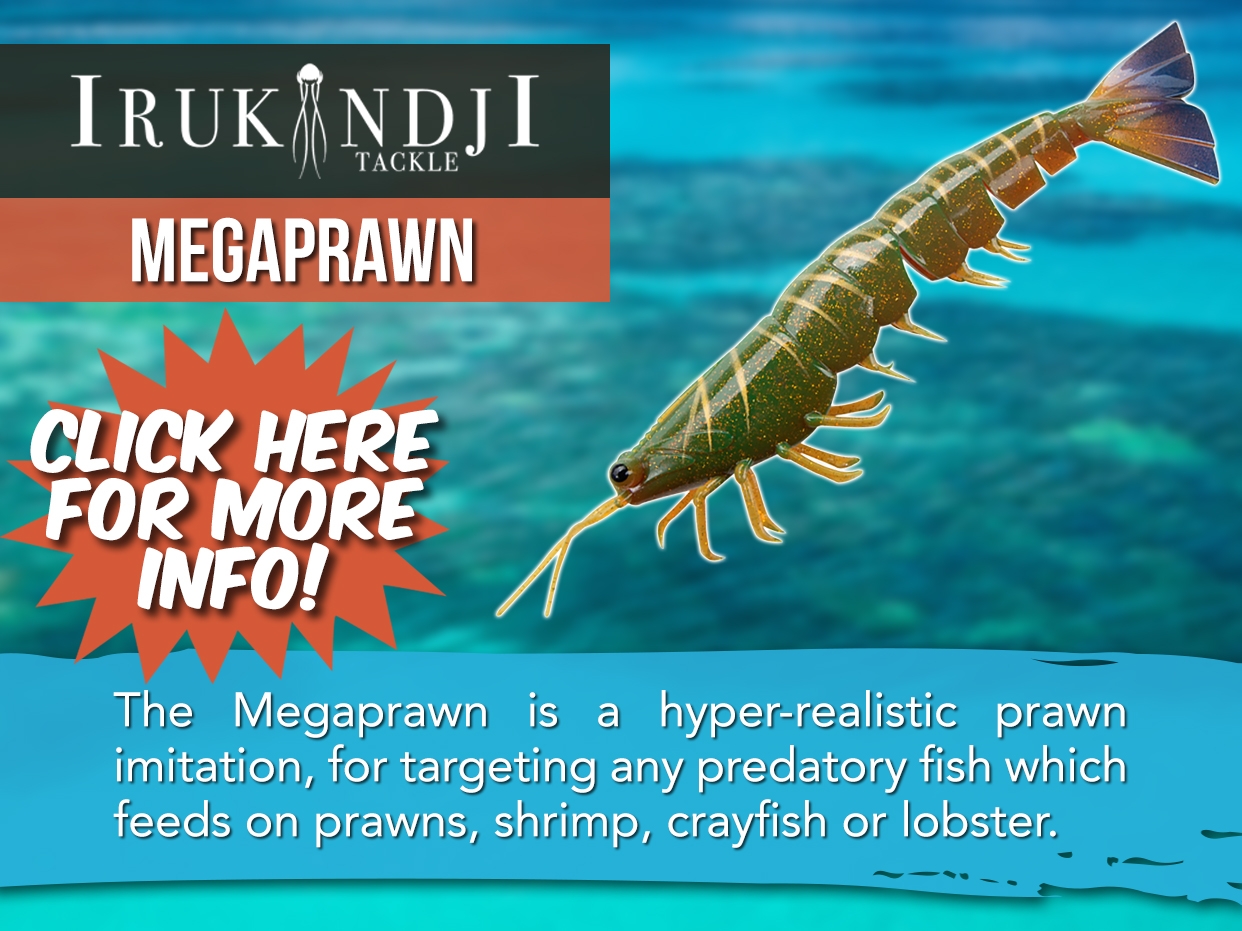 IRUKANDJI MEGAPRAWN LURE