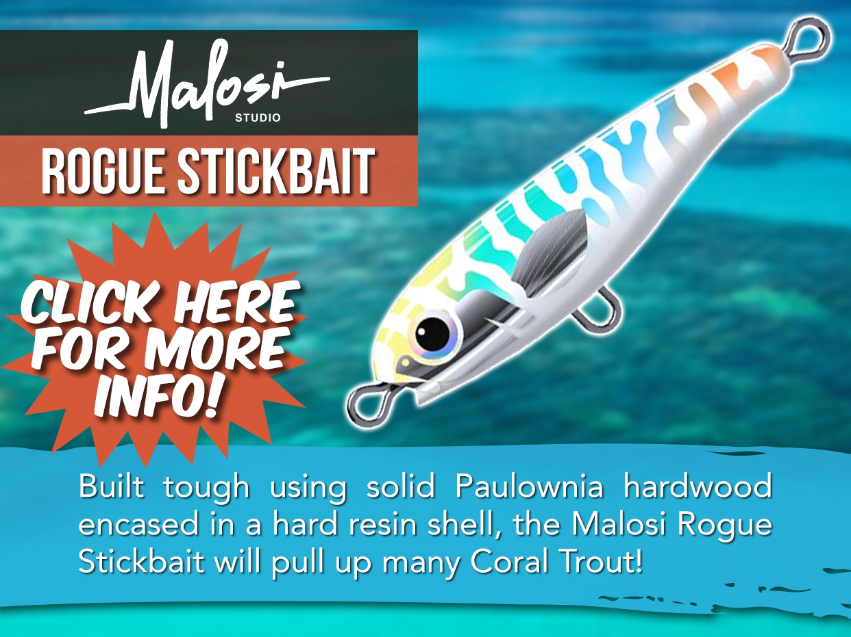 MALOSI STUDIO ROGUE STICKBAIT LURE