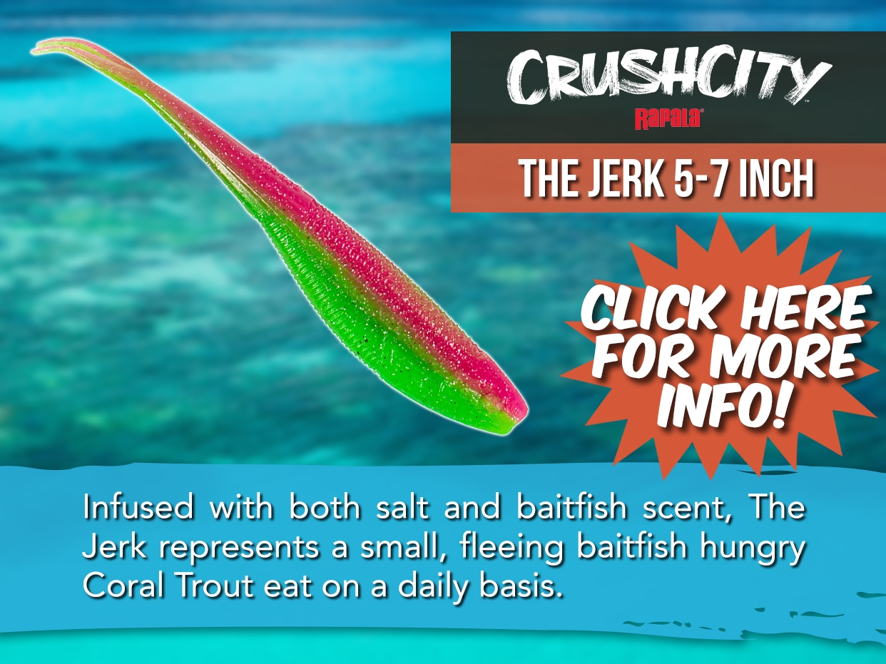 RAPALA CRUSH CITY CUSTOMS THE JERK SOFT PLASTIC