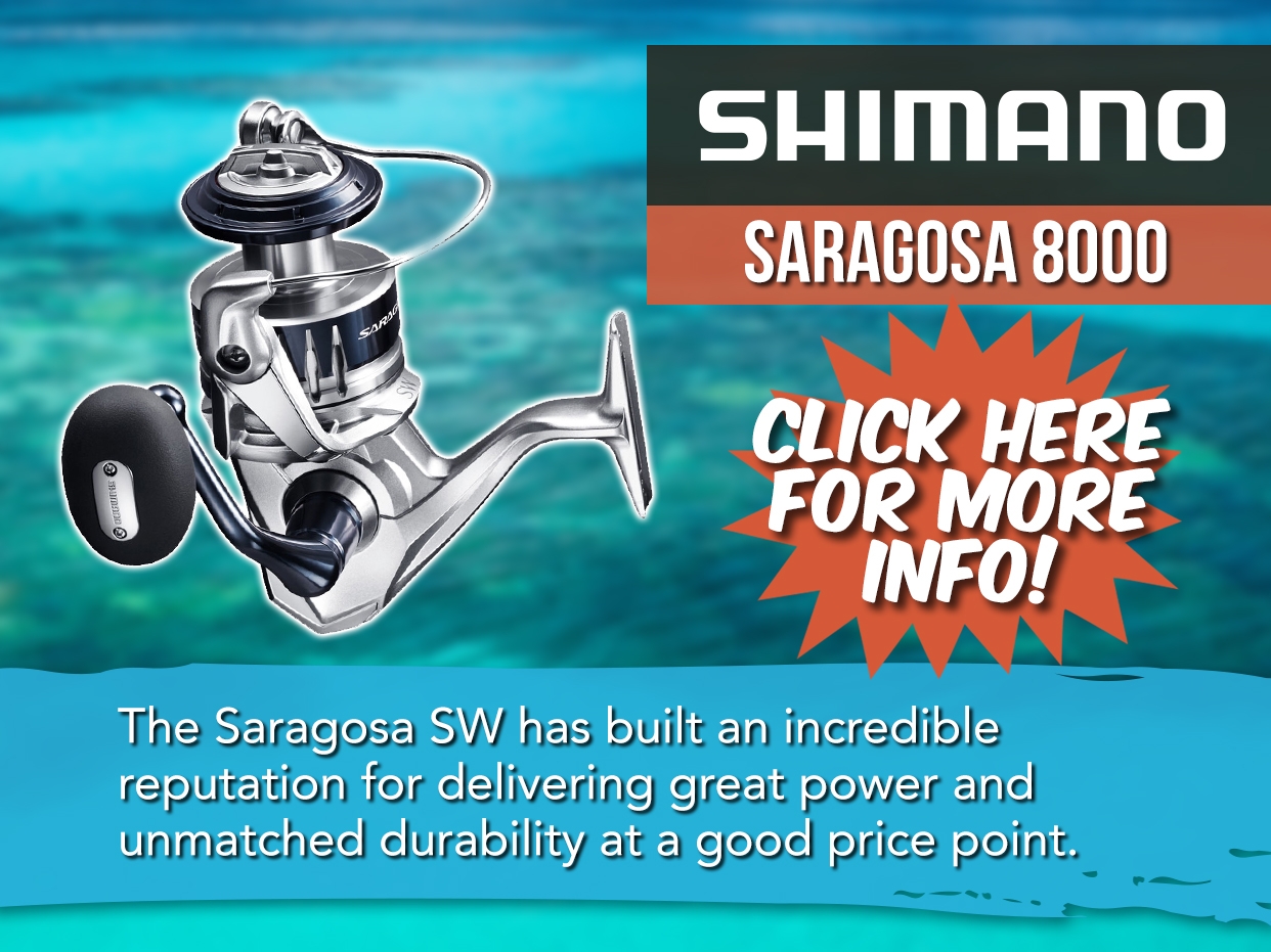 Shimano Saragosa Reel