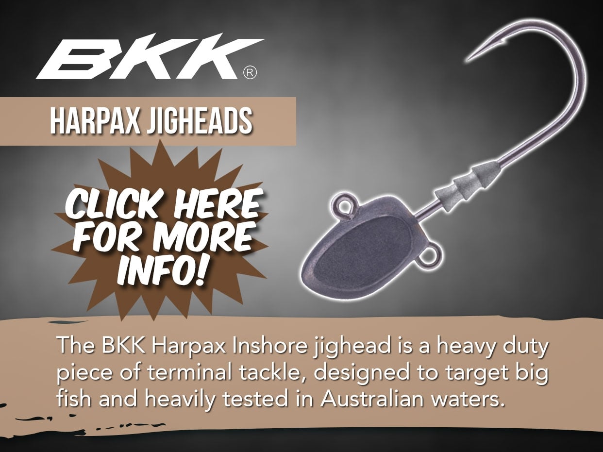 BKK Harpax Inshore Jighead