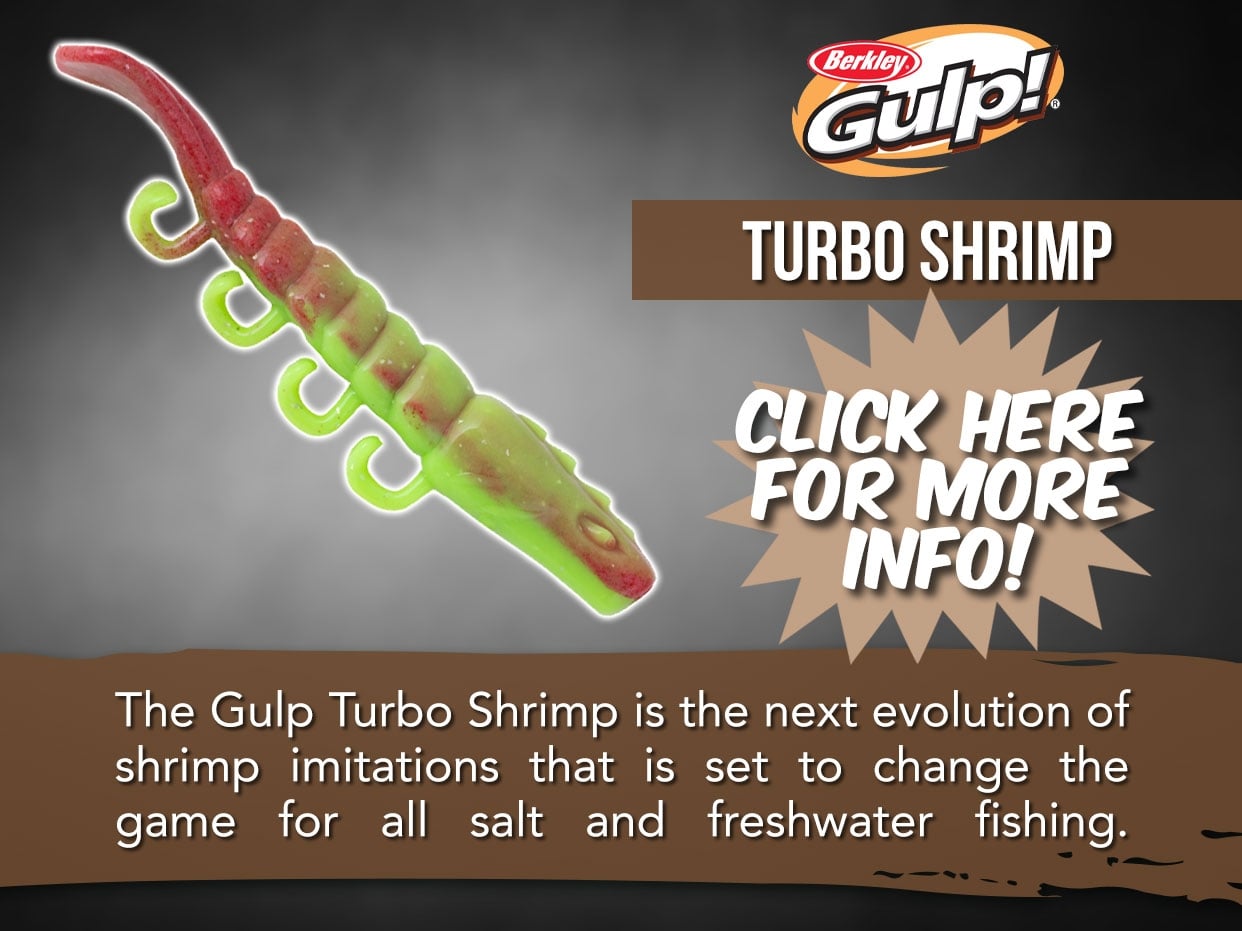 Berkely Gulp Turbo Shrimp