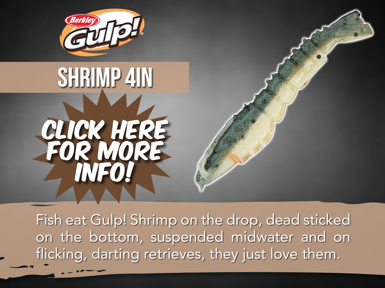 Berkley Gulp Shrimp