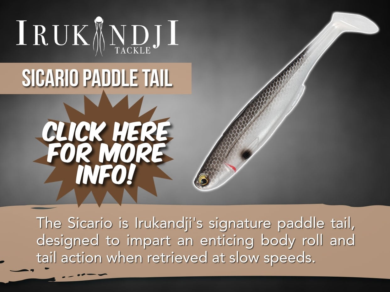 Irukandji Sicario