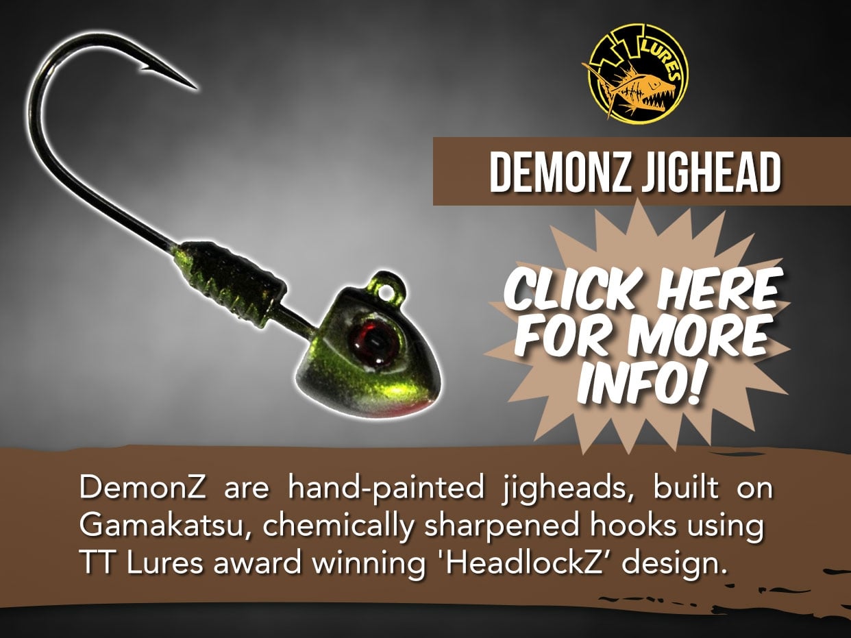 TT Lures Demonz Jighead