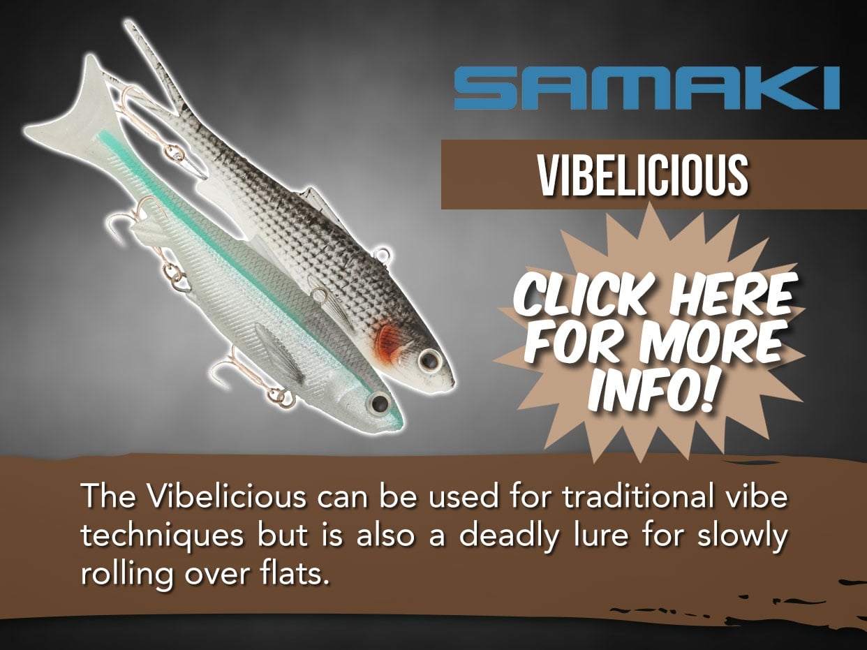 Samaki Vibelicious