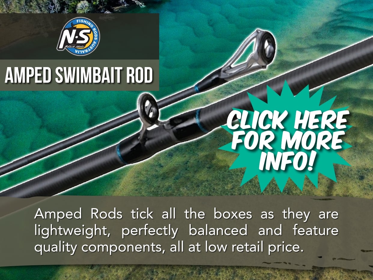 NS BLACK HOLE AMPED ROD