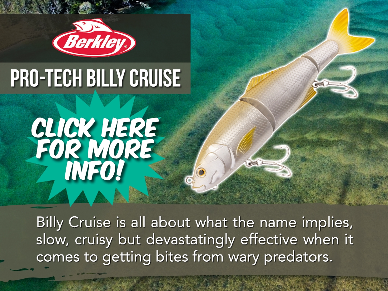 BERKLEY PRO-TECH BILLY CRUISE LURE