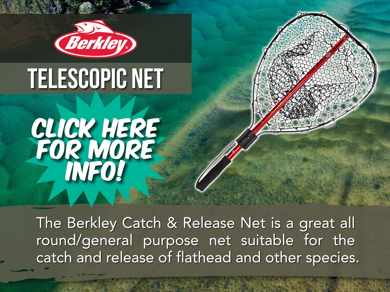 BERKLEY TELESCOPIC CATCH & RELEASE NET