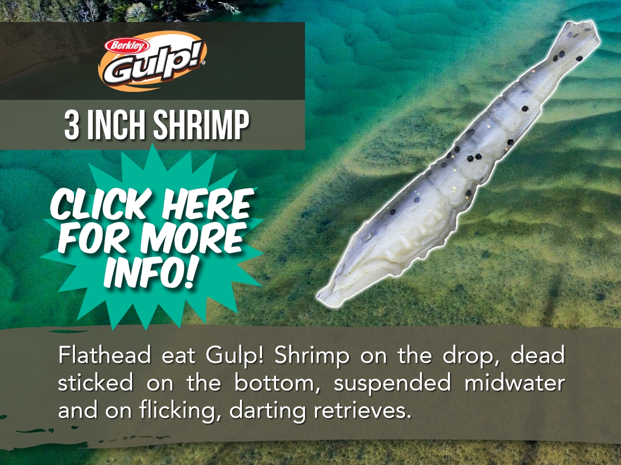 BERKLEY GULP SHRIMP