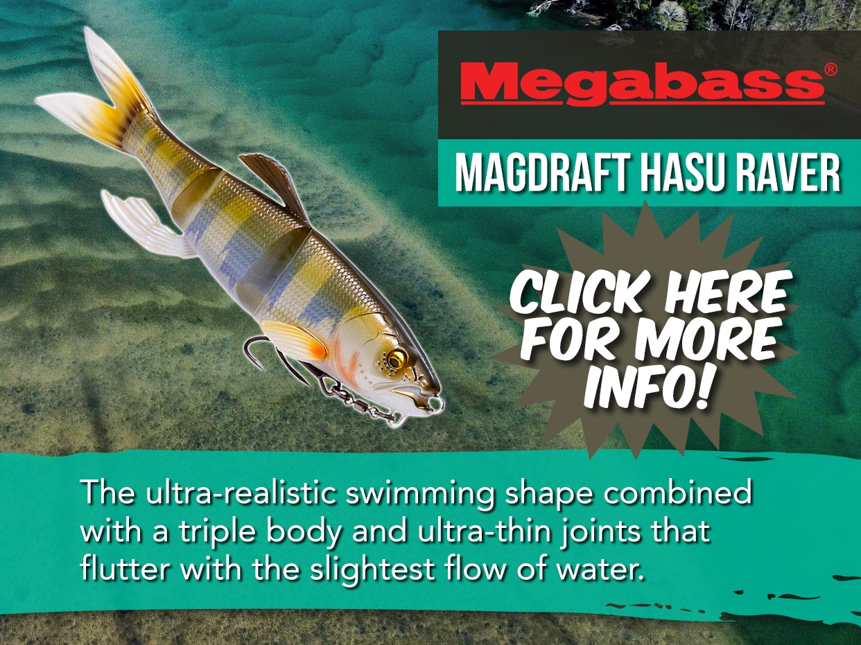 MEGABASS MAGDRAFT HASU RAVER LURE