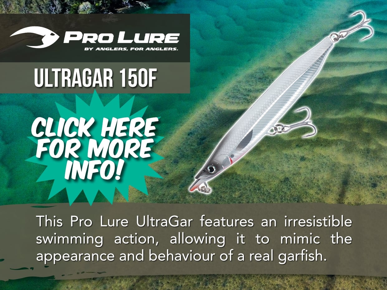 Chasing Flathead with Motackle & Outdoors