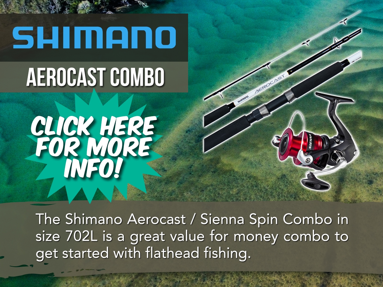 SHIMANO AEROCAST / SIENNA SPIN COMBO