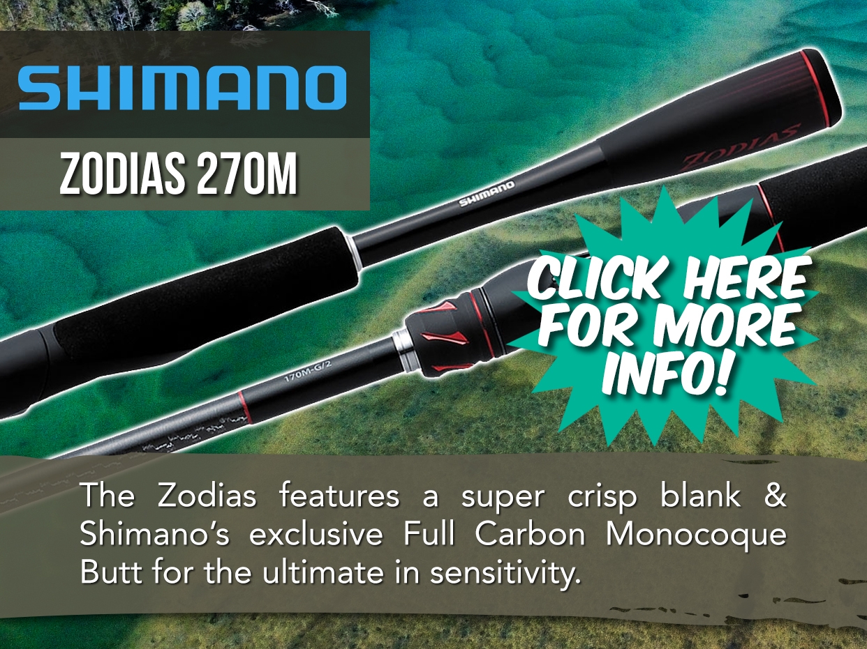 SHIMANO ZODIAS ROD - 2020