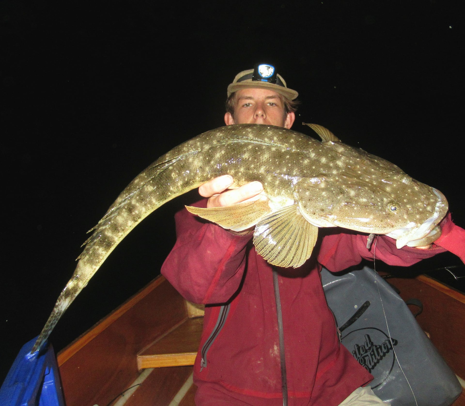 Alex's Flatty Alex's Flatty