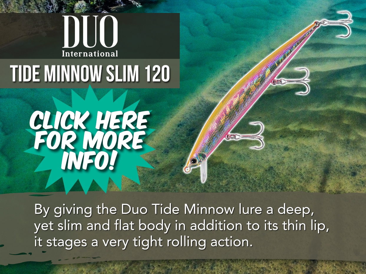 DUO TIDE MINNOW SLIM 120 LURE