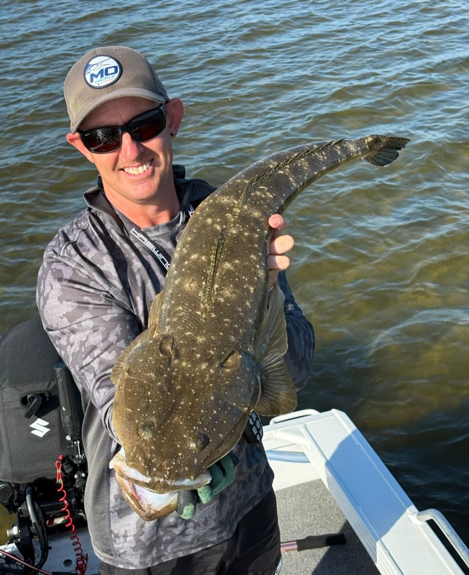 Nigel's Flathead Nigel's Flathead