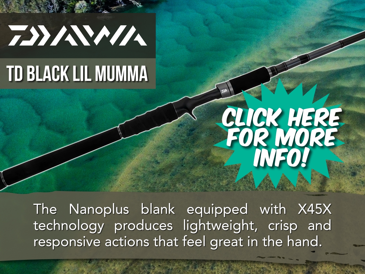 DAIWA 23 TD BLACK ROD