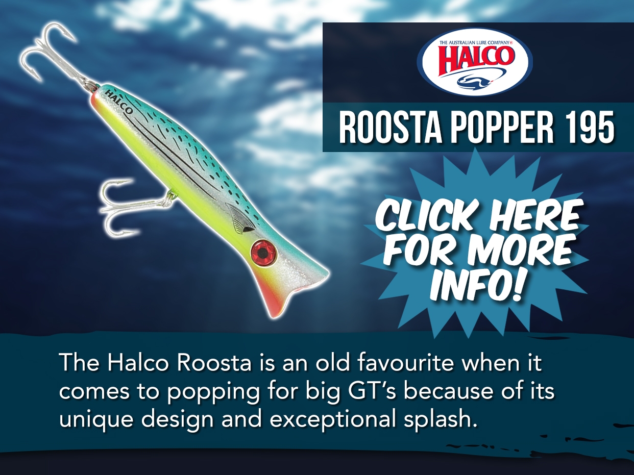 Halco Roosta Popper 195 Hard Body Lures