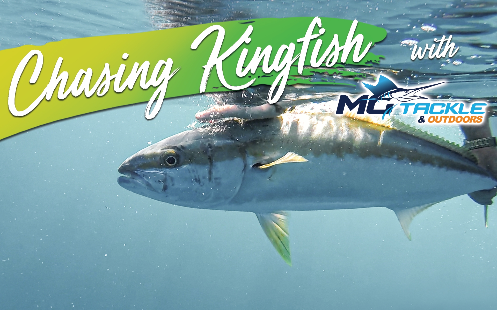 Chasing Kingfish With Motackle