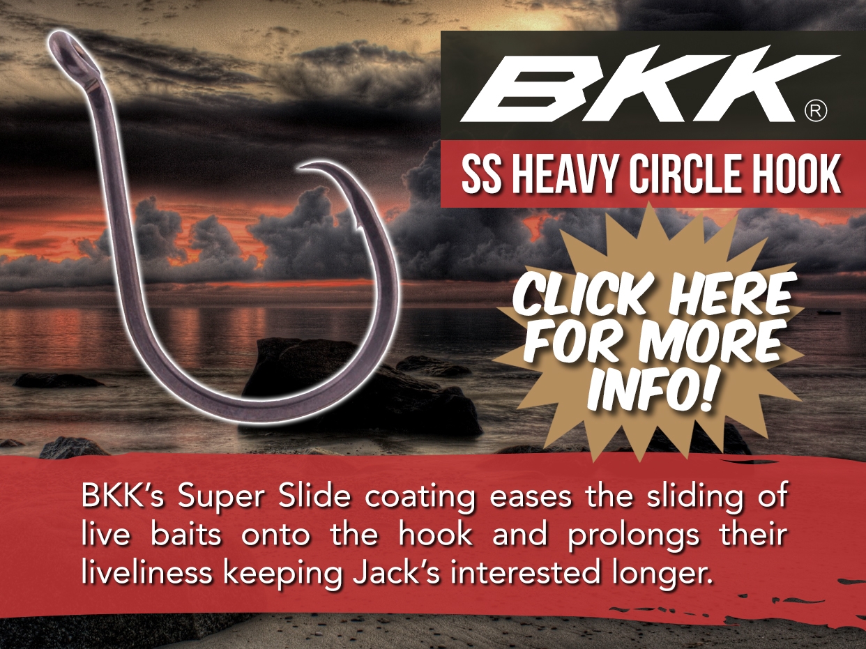 BKK SS HEAVY CIRCLE HOOK