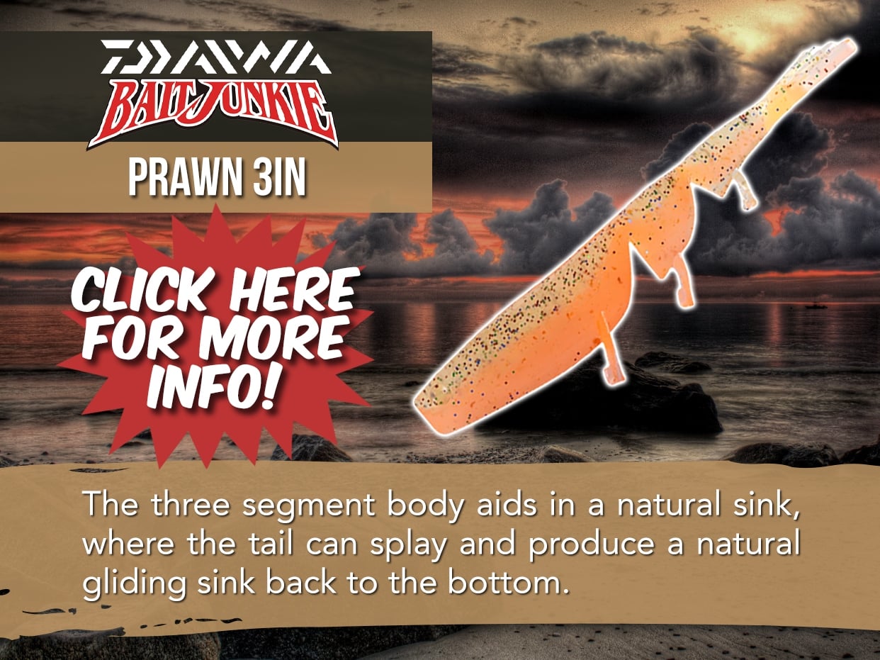 DAIWA BAIT JUNKIE PRAWN LURE