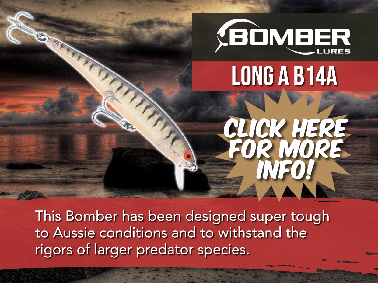 BOMBER LONG A B14A