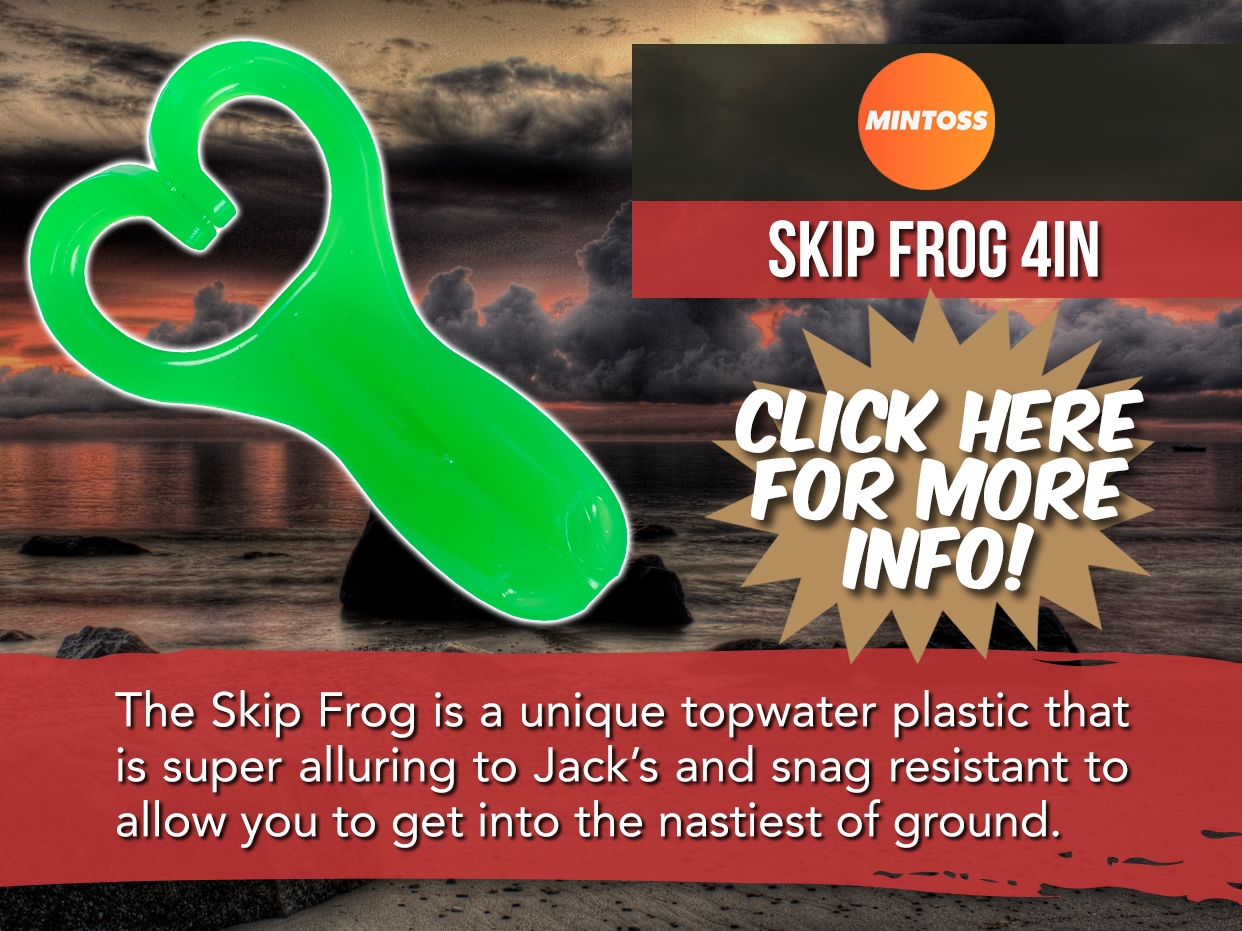 MINTOSS SKIP FROG LURE