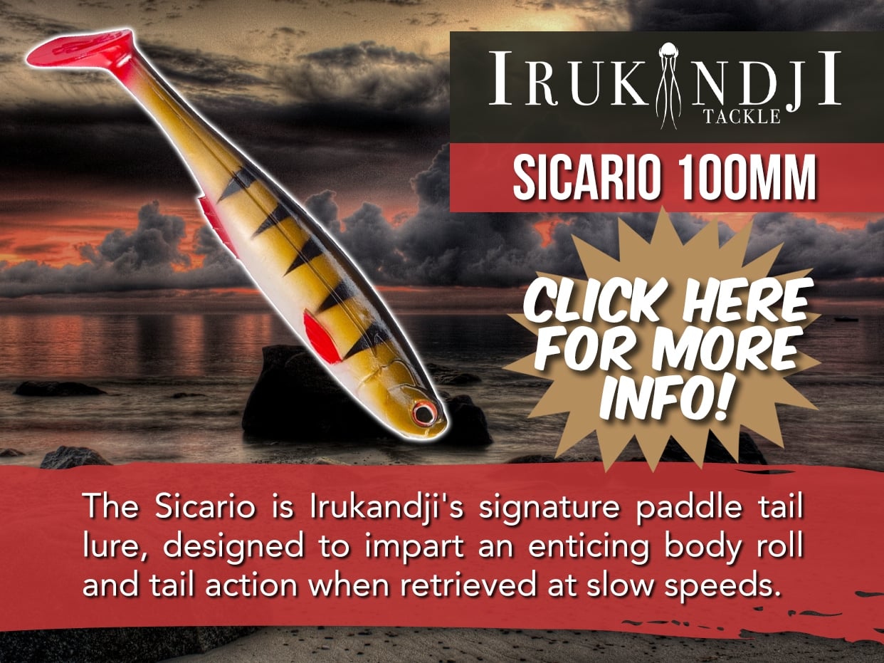 IRUKANDJI SICARIO LURE