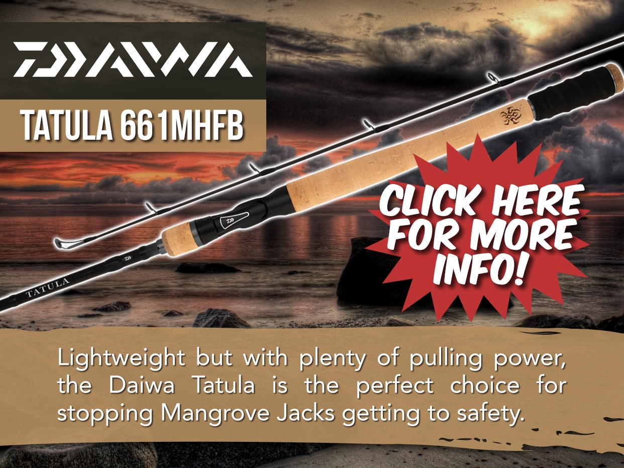 DAIWA 23 TATULA BAITCAST ROD