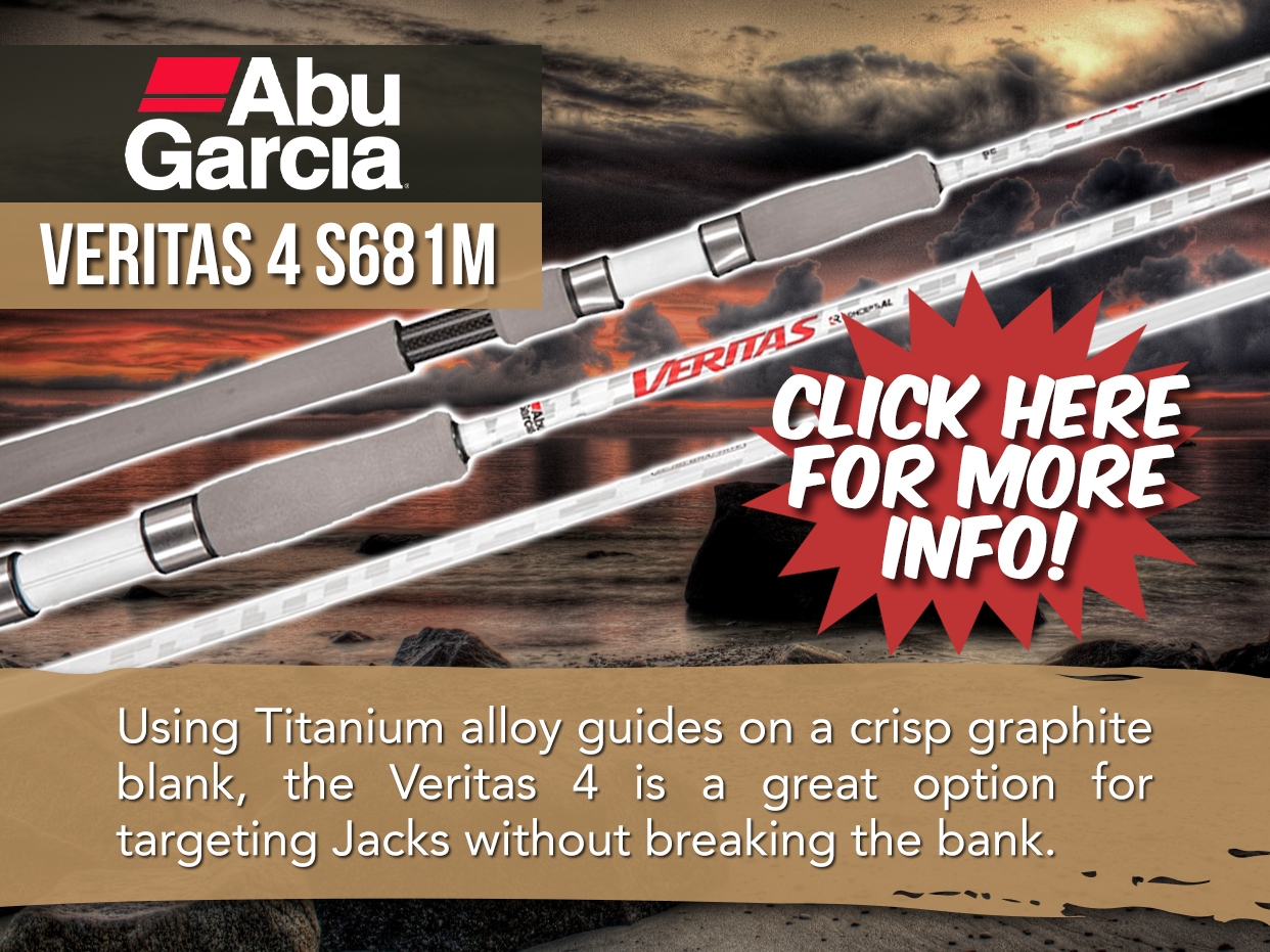 ABU GARCIA VERITAS 4 SPIN ROD