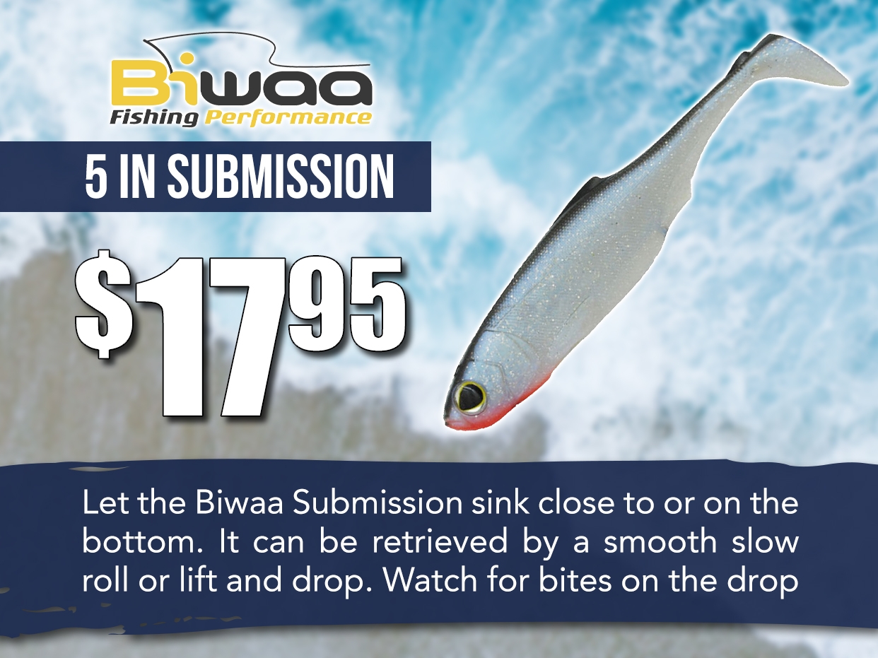 BIWAA 8IN SUBMISSION