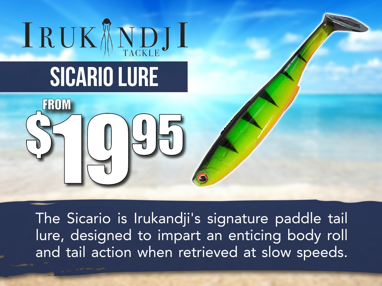 Irukandji Sicario