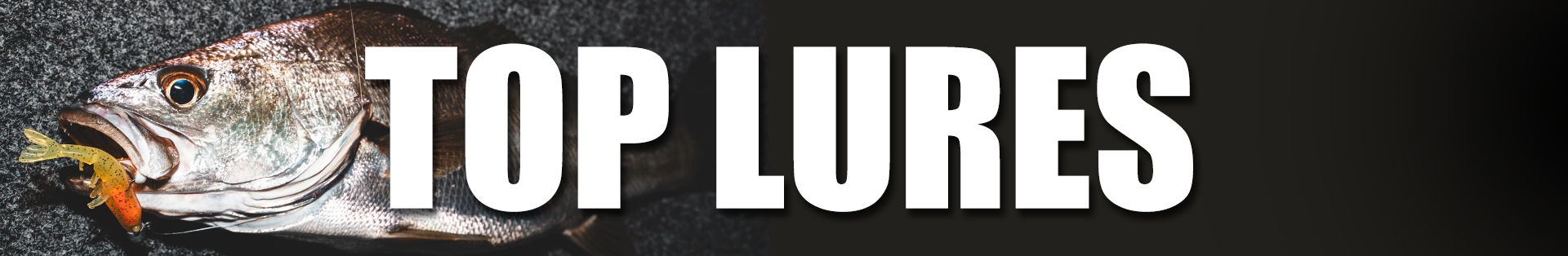 Top Lures Top Lures
