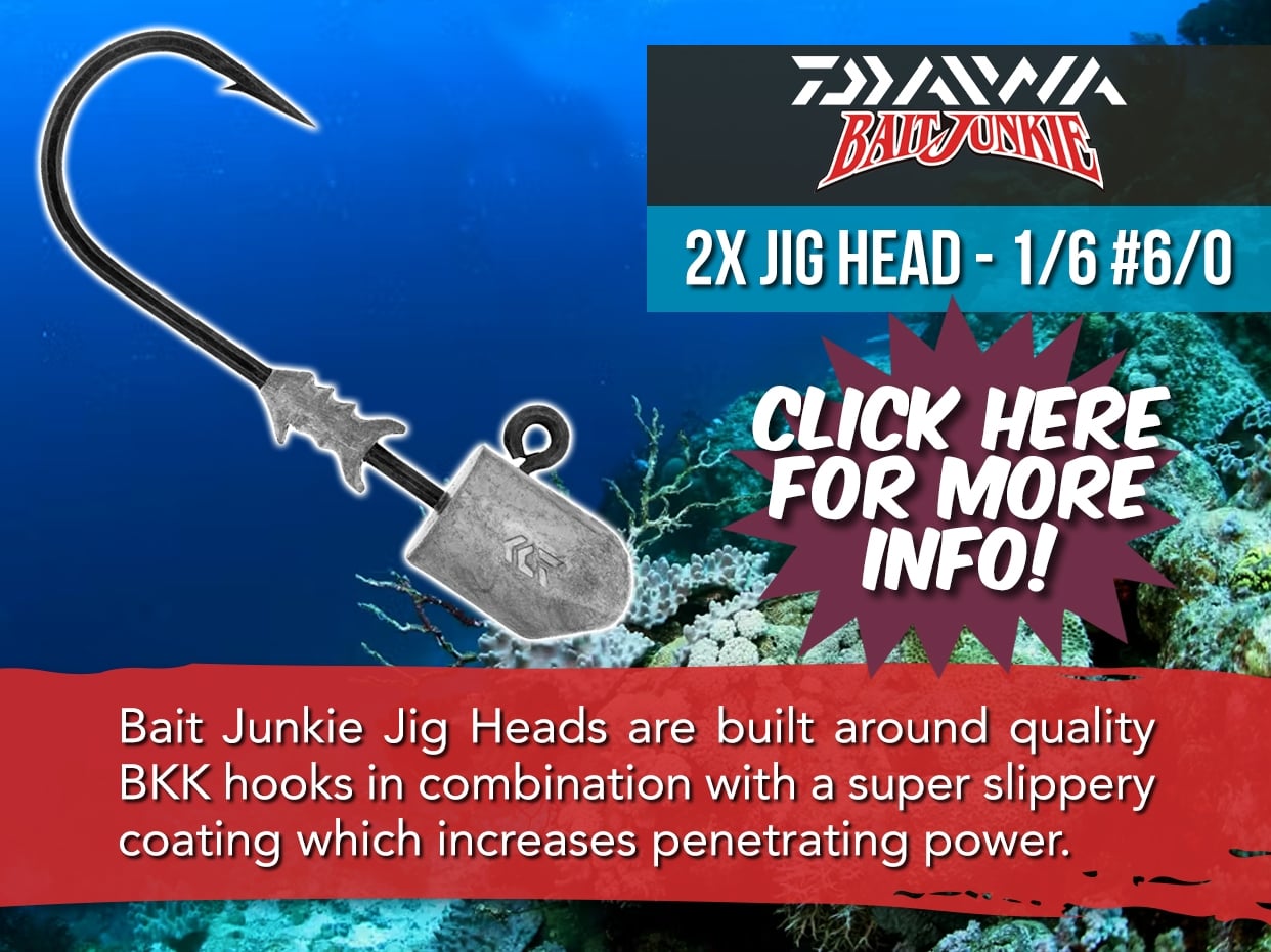 DAIWA BAIT JUNKIE 2X HEAVY WIRE JIG HEAD