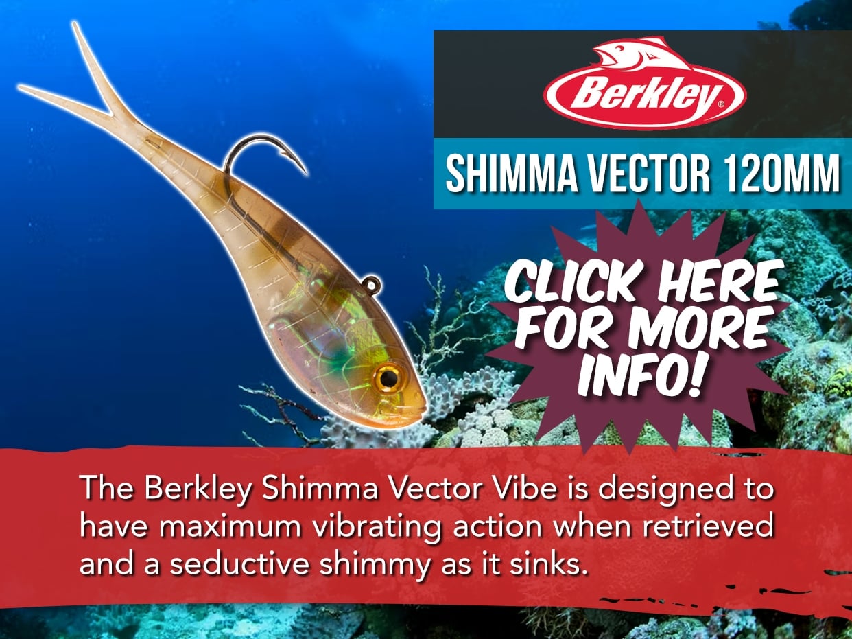 BERKLEY SHIMMA VECTOR VIBE LURE