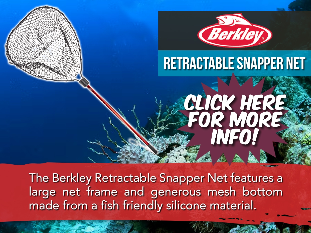 BERKLEY RETRACTABLE LARGE SNAPPER NET