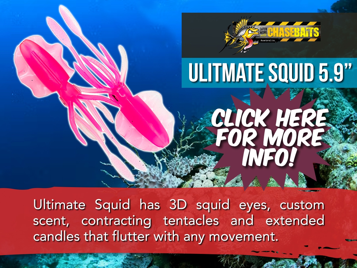 CHASEBAITS THE ULTIMATE SQUID LURE