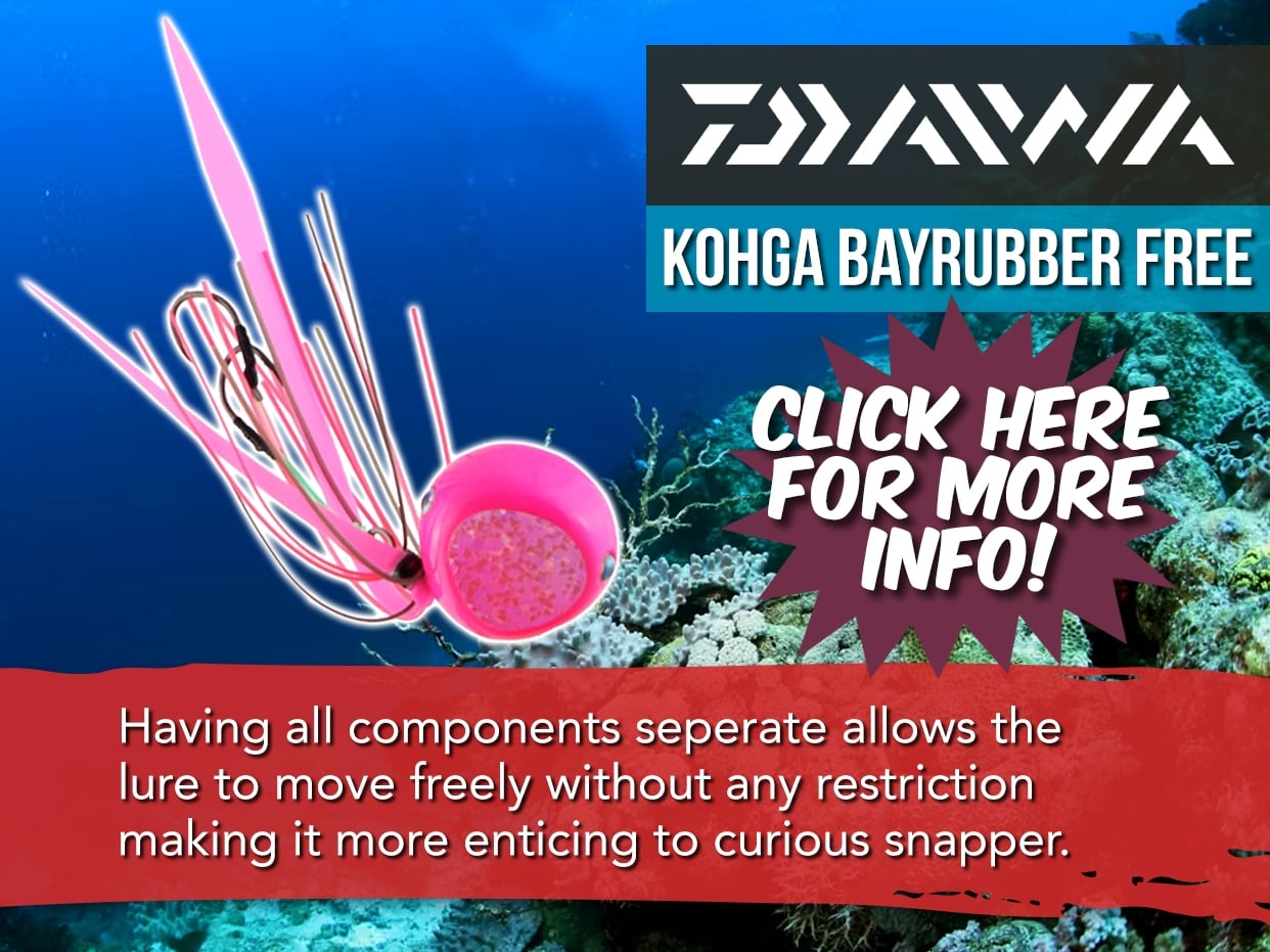 DAIWA KOHGA BAYRUBBER FREE JIG