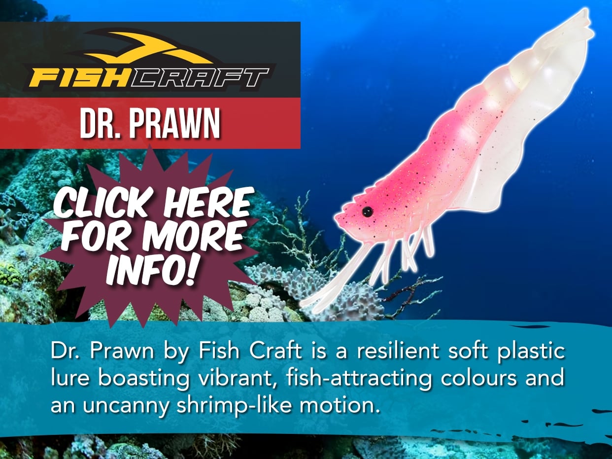 FISH CRAFT DR. PRAWN UNRIGGED LURE