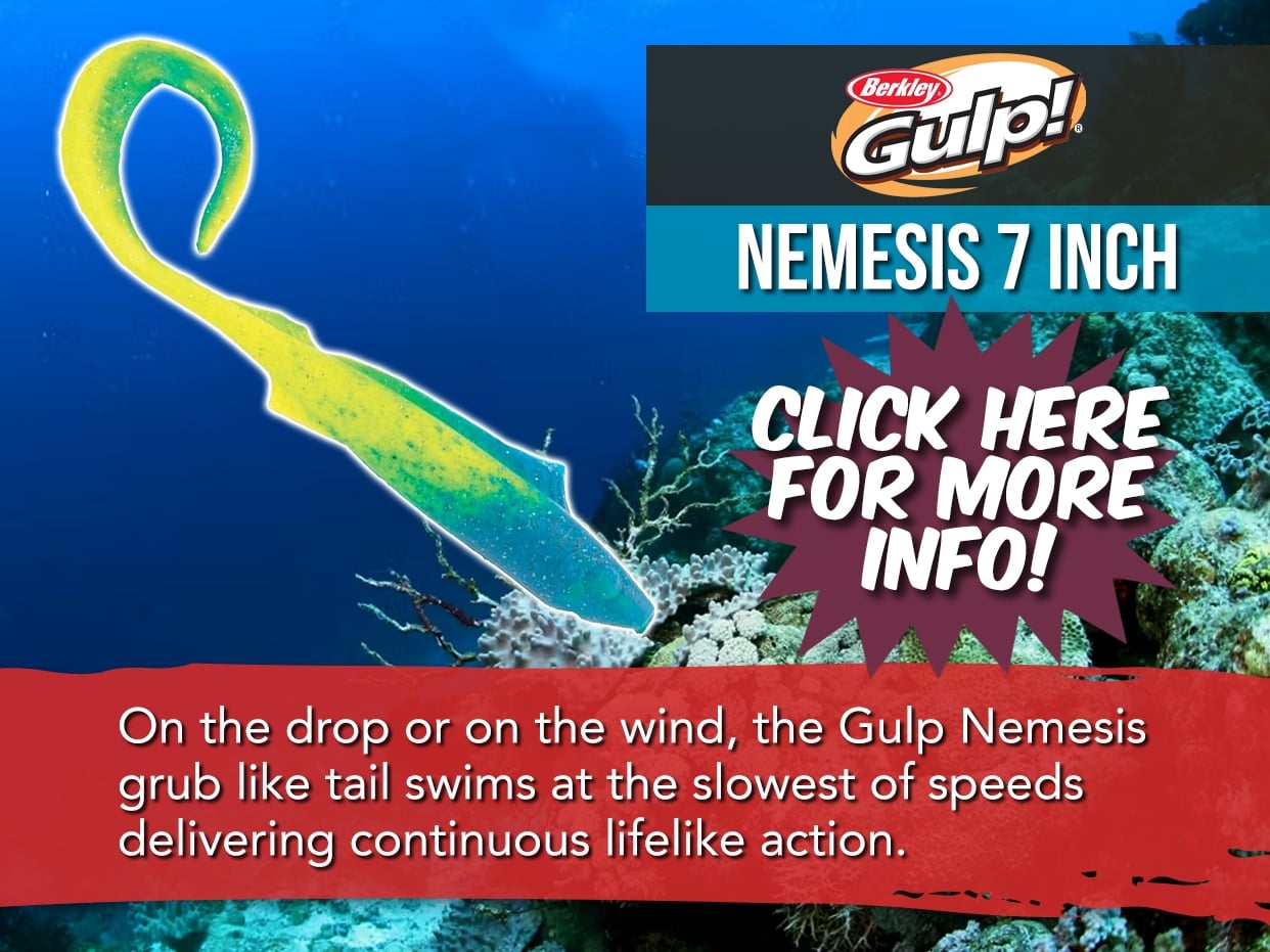 BERKLEY GULP NEMESIS