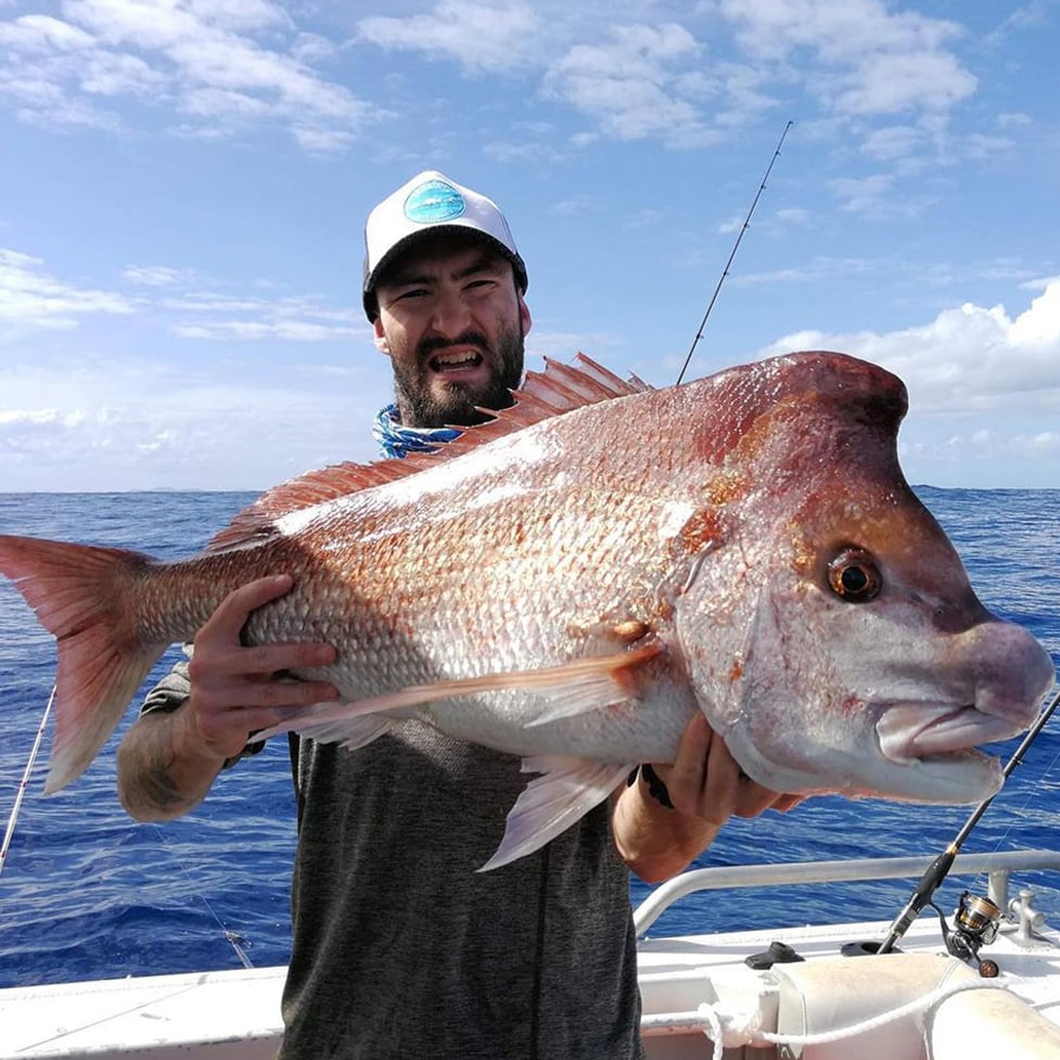 Josh's Snapper