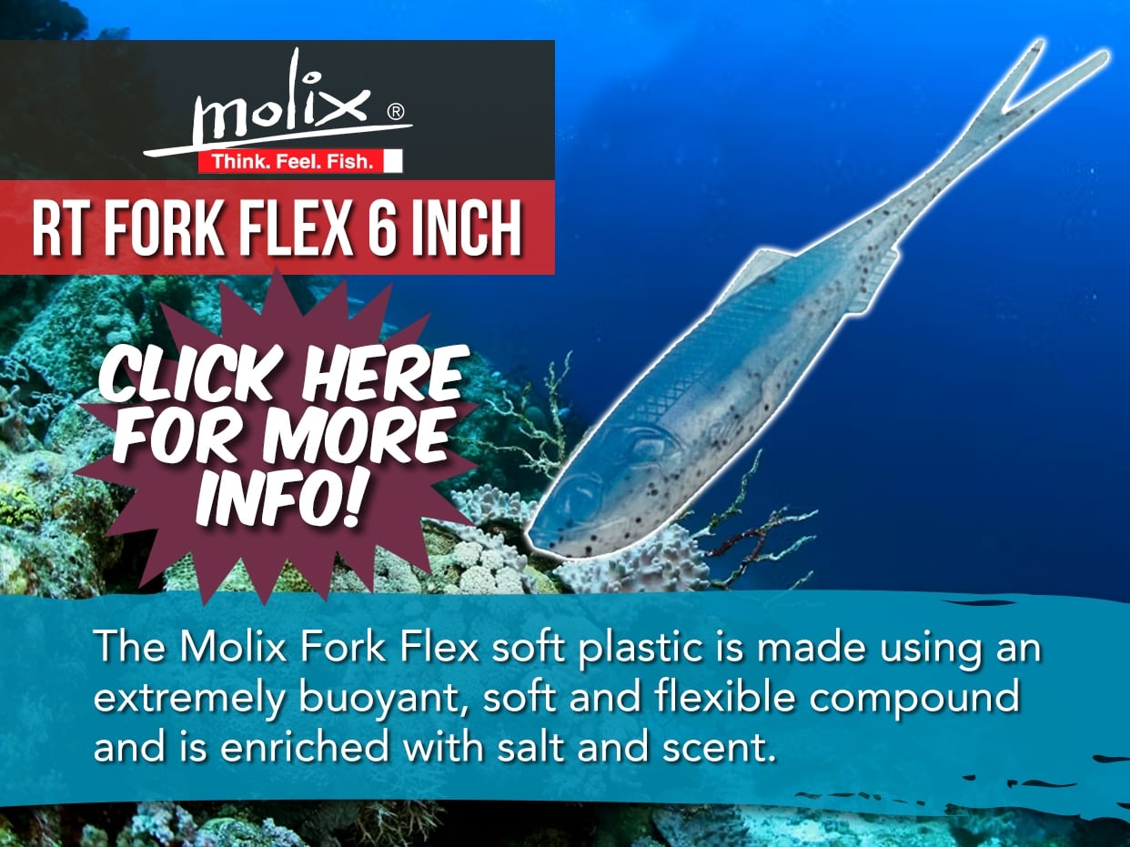 MOLIX RT FORK FLEX SOFT PLASTIC LURE