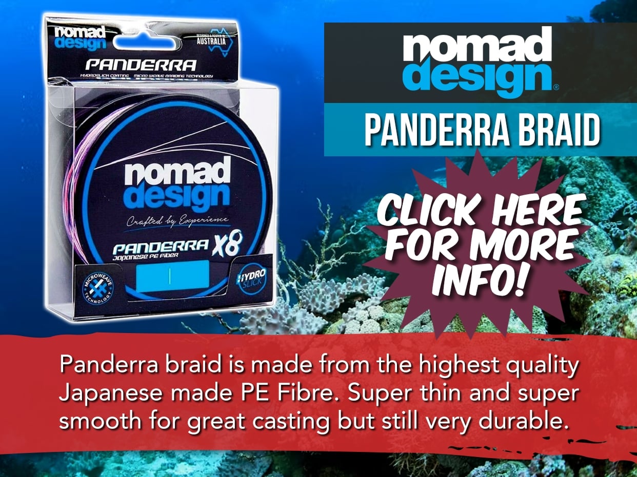 Nomad Panderra Braid