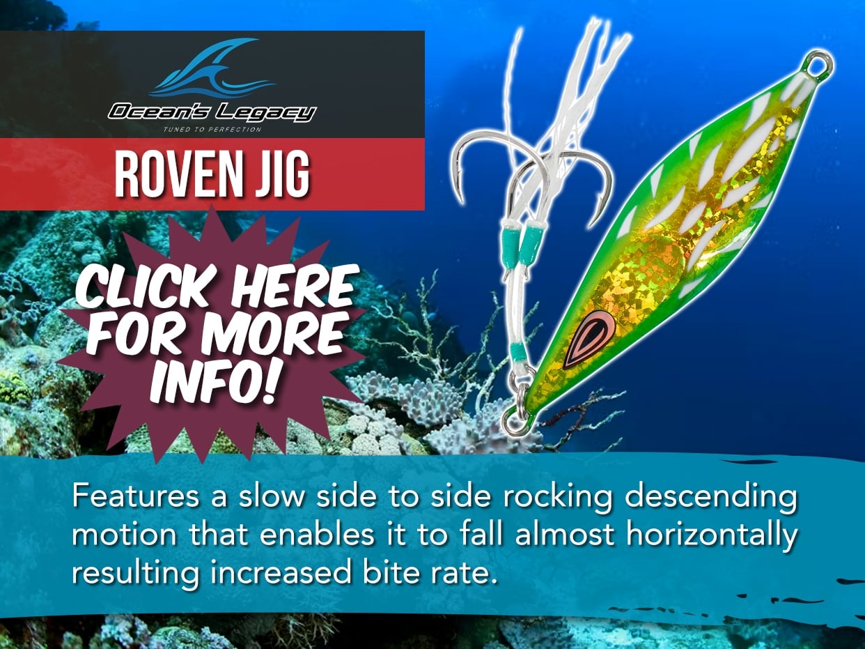 OCEANS LEGACY ROVEN RIGGED JIG